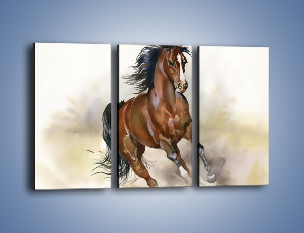 Obraz na płótnie – Piękny koń w galopie – trzyczęściowy GR338W2