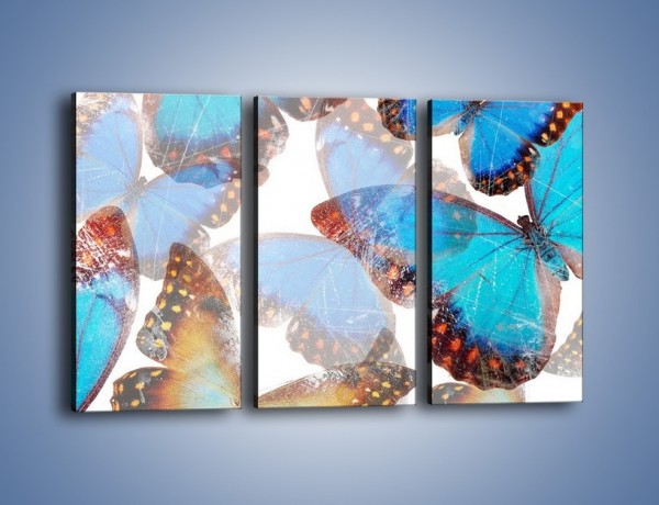 Obraz na płótnie – Motyl w niebieskim kolorze – trzyczęściowy GR403W2