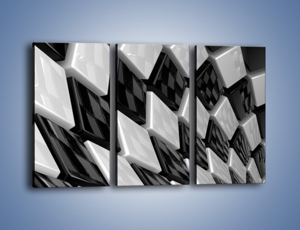 Obraz na płótnie – Czarne czy białe – trzyczęściowy GR425W2