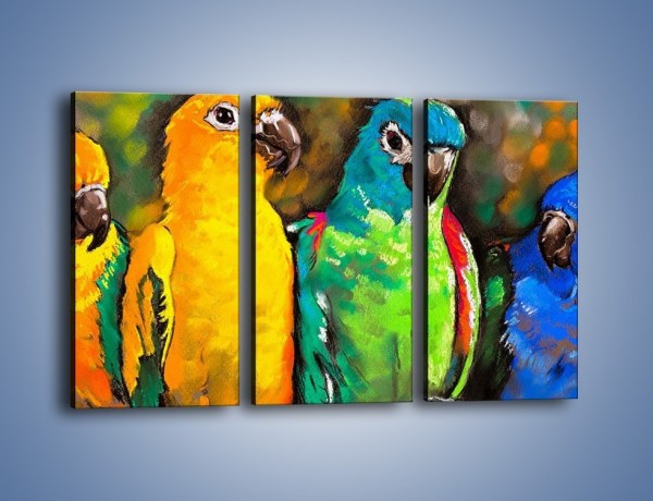 Obraz na płótnie – Rozmowa papuzich przyjaciół – trzyczęściowy GR492W2