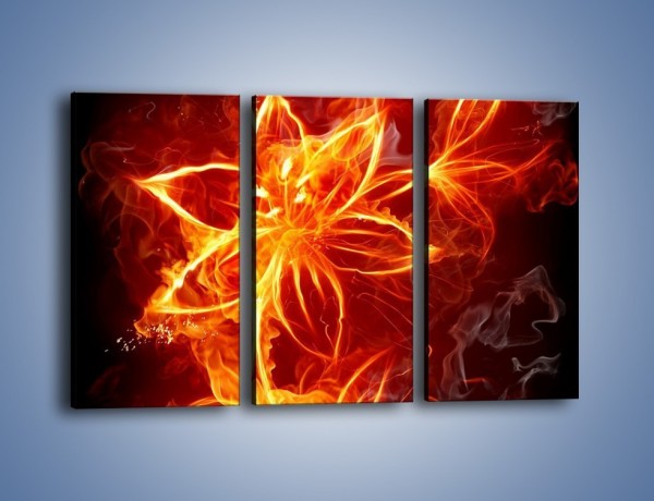 Obraz na płótnie – Spłonąć jak kwiat – trzyczęściowy GR527W2