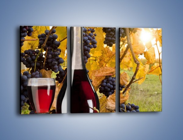 Obraz na płótnie – Wino wśród winogron – trzyczęściowy JN007W2