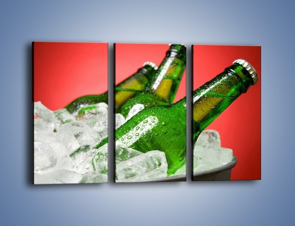 Obraz na płótnie – Zmrożone butelki piwa – trzyczęściowy JN025W2