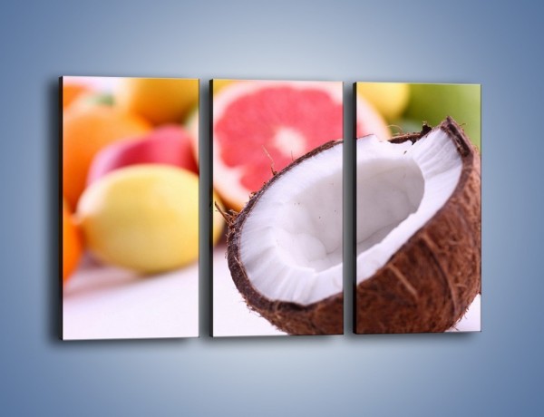 Obraz na płótnie – Kokosowo-owocowy mix – trzyczęściowy JN042W2