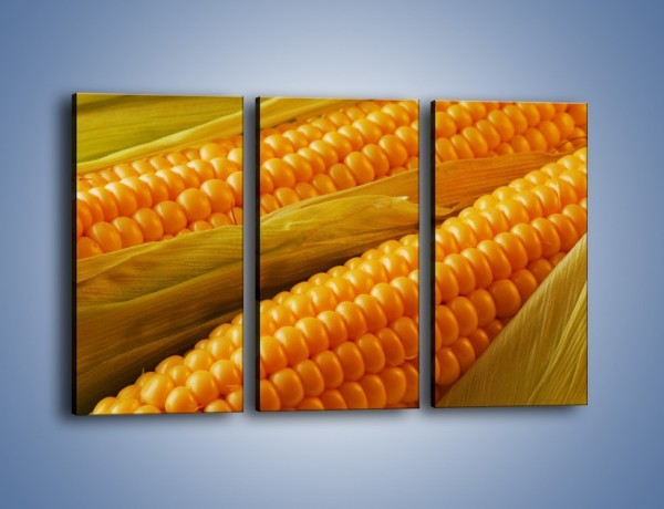 Obraz na płótnie – Kolby dojrzałych kukurydz – trzyczęściowy JN046W2