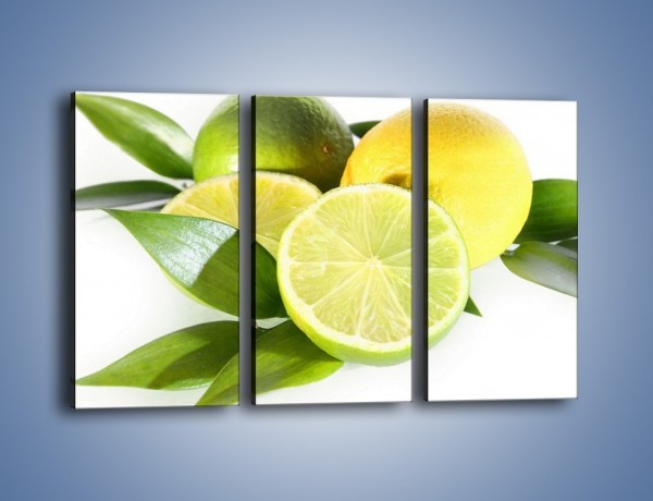 Obraz na płótnie – Mix cytrynowo-limonkowy – trzyczęściowy JN058W2