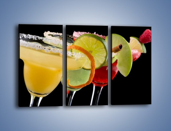 Obraz na płótnie – Drinki z dodatkiem owoców – trzyczęściowy JN101W2