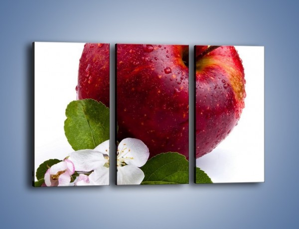 Obraz na płótnie – Polskie zdrowe jabłko – trzyczęściowy JN102W2
