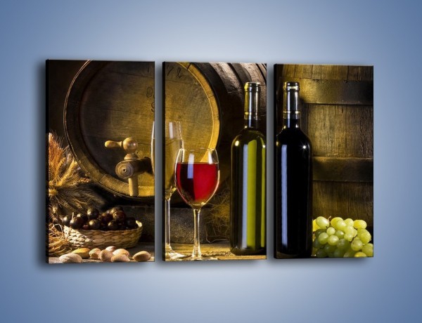 Obraz na płótnie – Wino czerwone czy białe – trzyczęściowy JN107W2