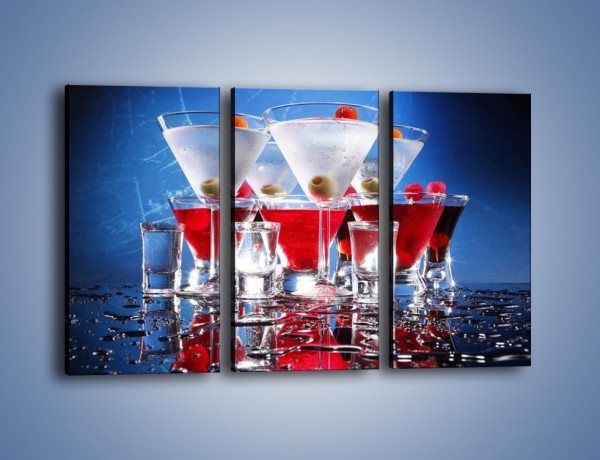 Obraz na płótnie – Martini wstrząśnięte zmieszane – trzyczęściowy JN161W2