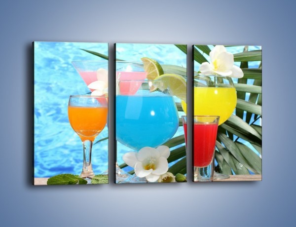Obraz na płótnie – Drinki na tropikalnej wyspie – trzyczęściowy JN163W2