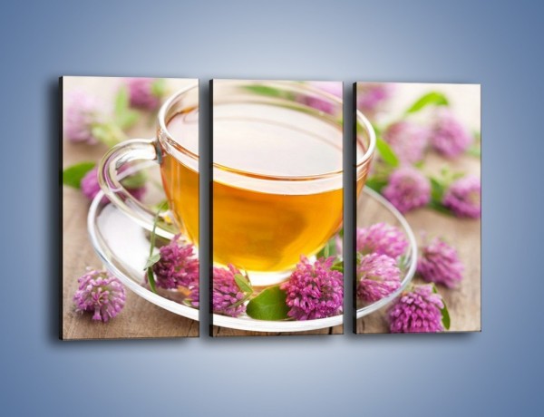Obraz na płótnie – Herbata z kwiatami – trzyczęściowy JN283W2