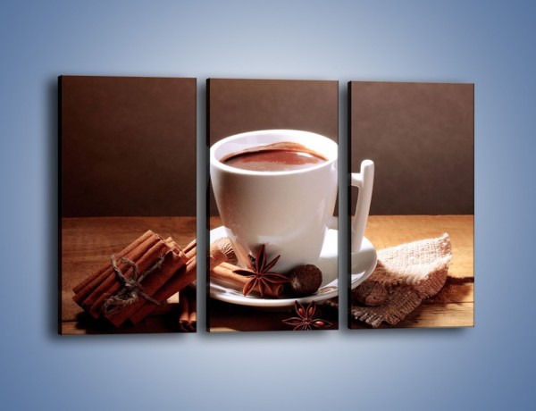 Obraz na płótnie – Gorąca czekolada z cynamonem – trzyczęściowy JN362W2