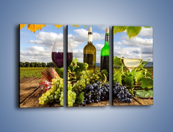 Obraz na płótnie – Wino w jesiennych klimatach – trzyczęściowy JN415W2