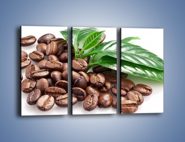 Obraz na płótnie – Kawa wśród zieleni – trzyczęściowy JN418W2