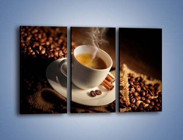 Obraz na płótnie – Historia dwóch ziarenek kawy – trzyczęściowy JN479W2