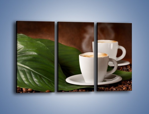 Obraz na płótnie – Kawa na eukaliptusie – trzyczęściowy JN576W2