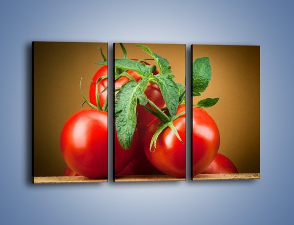 Obraz na płótnie – Pomidorki górą – trzyczęściowy JN581W2