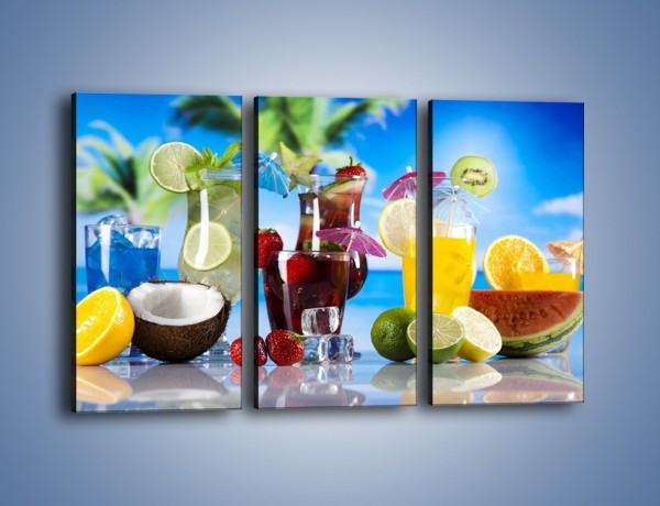Obraz na płótnie – Drinki z egzotycznych owoców – trzyczęściowy JN640W2