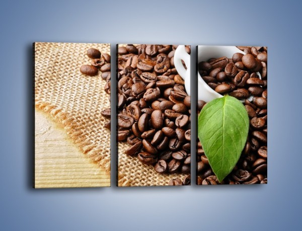 Obraz na płótnie – Liść na kawie – trzyczęściowy JN688W2
