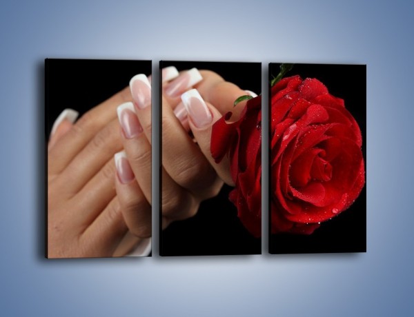 Obraz na płótnie – Kwiat róży w kobiecych dłoniach – trzyczęściowy K006W2