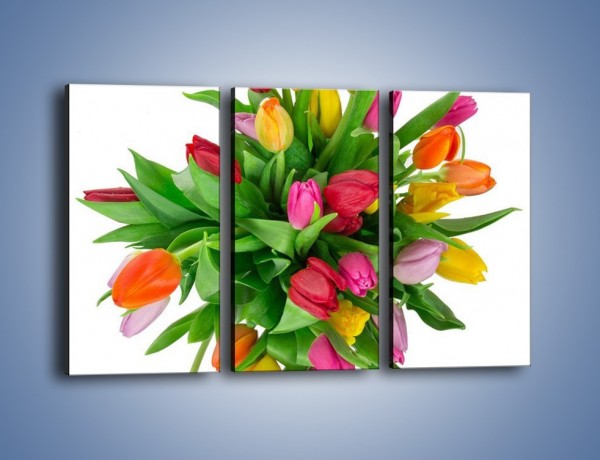 Obraz na płótnie – Wiązanka kolorowych tulipanów – trzyczęściowy K019W2