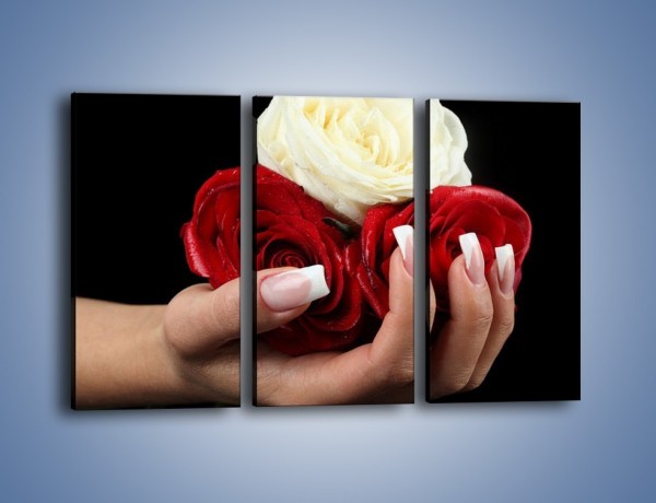 Obraz na płótnie – Pełna garść główek róż – trzyczęściowy K025W2