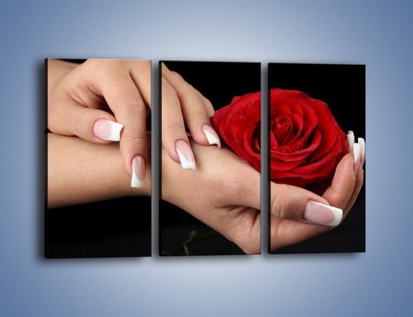 Obraz na płótnie – Czerwona róża w dłoni – trzyczęściowy K037W2