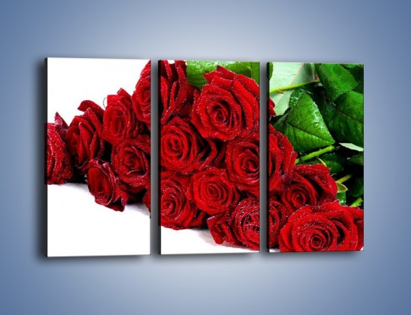 Obraz na płótnie – Oszronione czerwone róże – trzyczęściowy K047W2