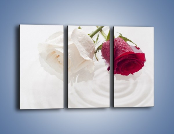 Obraz na płótnie – Róża biała czy czerwona – trzyczęściowy K077W2