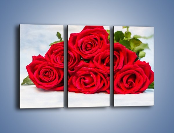 Obraz na płótnie – Czerwone róże bez kolców – trzyczęściowy K1021W2
