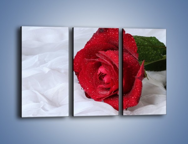 Obraz na płótnie – Bordowa róża na białej pościeli – trzyczęściowy K1023W2