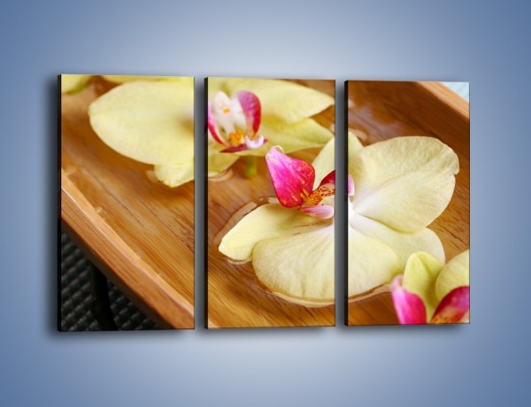 Obraz na płótnie – Drewniana łódeczka z kwiatami – trzyczęściowy K1024W2