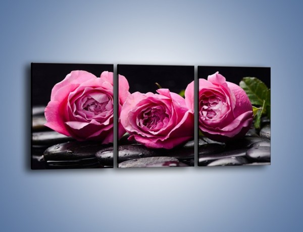 Obraz na płótnie – Malutkie różane trio – trzyczęściowy K1027W2