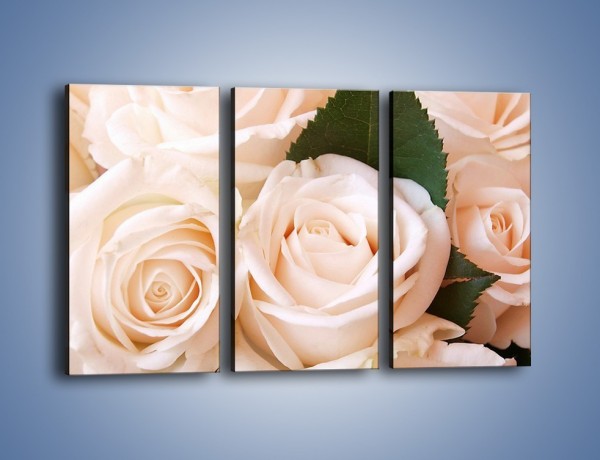Obraz na płótnie – Liść wśród bezowych róż – trzyczęściowy K104W2