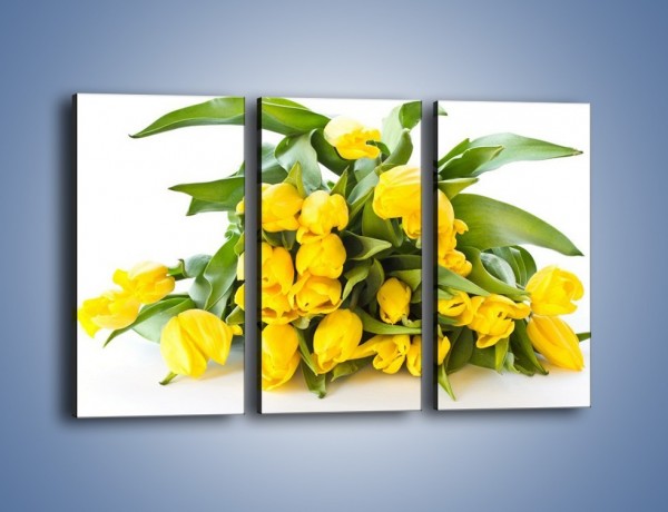 Obraz na płótnie – Piramida żółtych tulipanów – trzyczęściowy K111W2