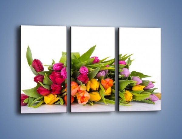 Obraz na płótnie – Kolorowe tulipany pełne luzu – trzyczęściowy K117W2