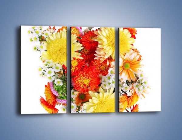 Obraz na płótnie – Bukiecik kwiatów z ogródka – trzyczęściowy K118W2