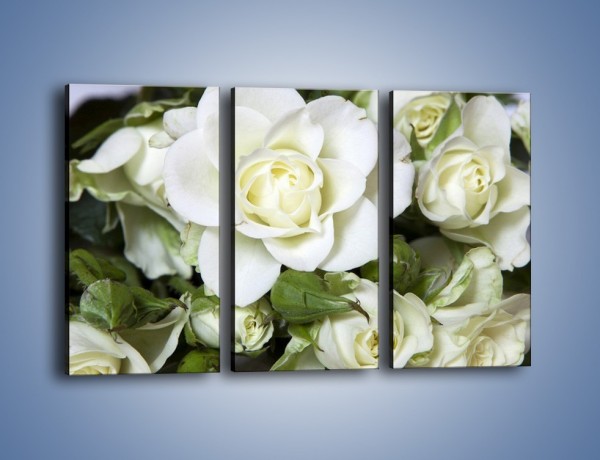 Obraz na płótnie – Białe róże na stole – trzyczęściowy K131W2