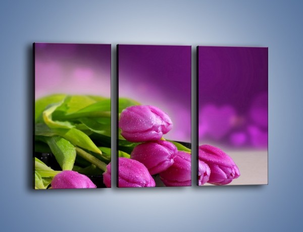 Obraz na płótnie – Tulipany w kolorze lawendy – trzyczęściowy K133W2