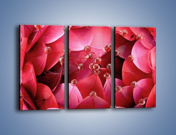 Obraz na płótnie – Koraliki wśród kwiatowych piór – trzyczęściowy K134W2