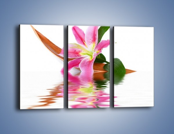 Obraz na płótnie – Odbicie wodne lilii – trzyczęściowy K142W2