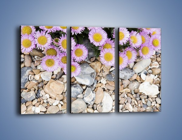 Obraz na płótnie – Kolorowe kamienie czy małe kwiatuszki – trzyczęściowy K146W2