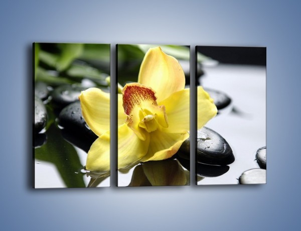 Obraz na płótnie – Żółty kwiat na mokrych kamieniach – trzyczęściowy K155W2