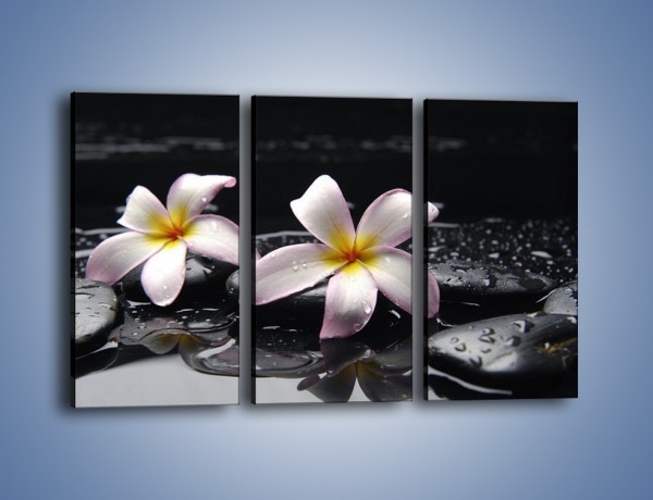 Obraz na płótnie – Delikatne kwiaty w kąpieli wodnej – trzyczęściowy K157W2