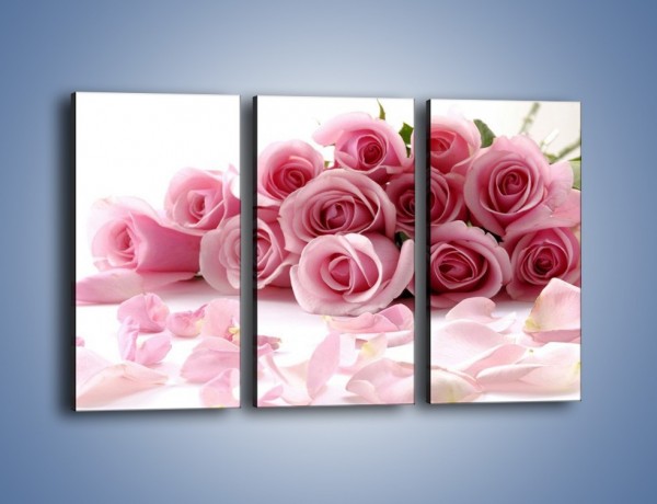 Obraz na płótnie – Nadal piękne róże – trzyczęściowy K167W2