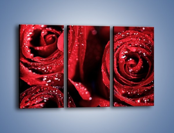 Obraz na płótnie – Róża czerwona jak wino – trzyczęściowy K170W2