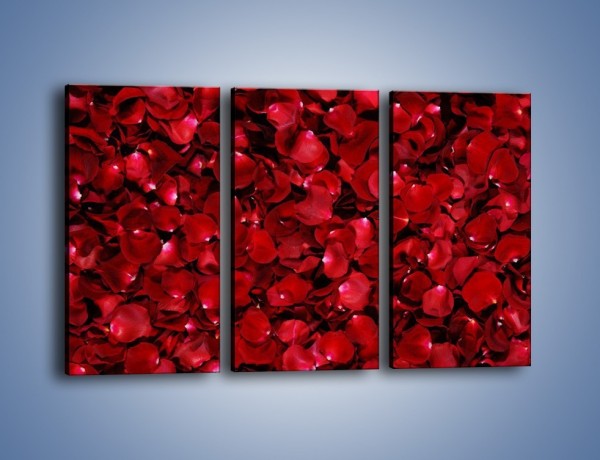 Obraz na płótnie – Dywan usłany płatkami róż – trzyczęściowy K175W2