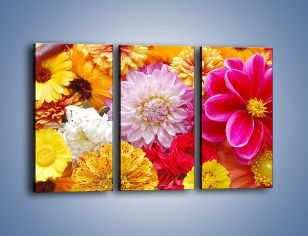 Obraz na płótnie – Letnie kwiaty z działki – trzyczęściowy K198W2
