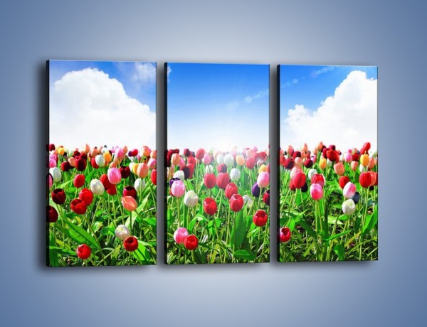 Obraz na płótnie – Droga do nieba z tulipanami – trzyczęściowy K219W2